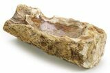 Polished Petrified Wood Soap Dish - Madagascar #378871-2